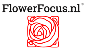 logo_flowerfocus.png